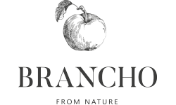 Brancho Ukraine Logo