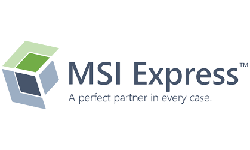 MSI Express Logo